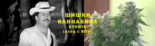 молекула духа Кулебаки