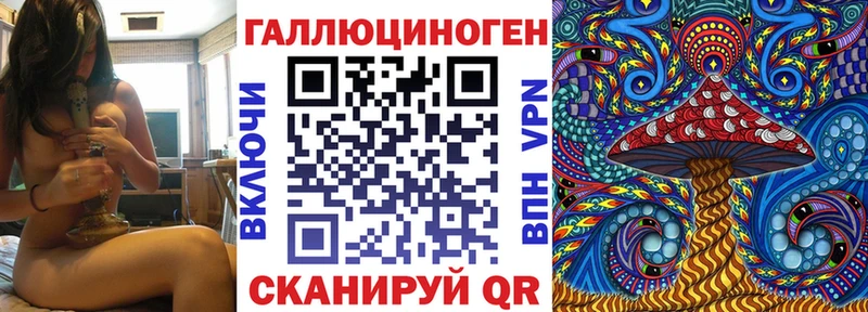 Псилоцибиновые грибы мухоморы  Курчатов 
